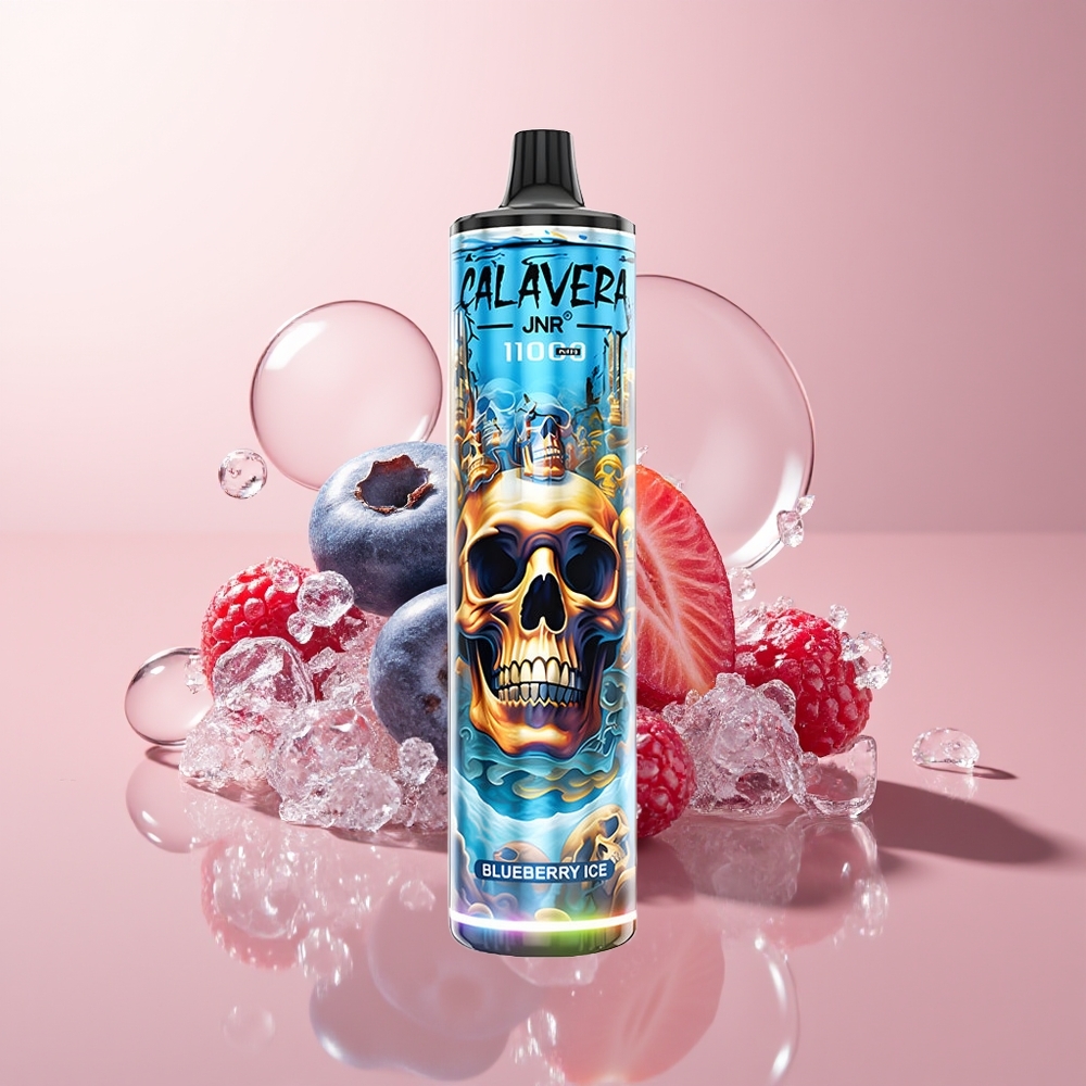 Blueberry Ice JNR Calavera 11000 Puffs 850mAh Disposable Vape