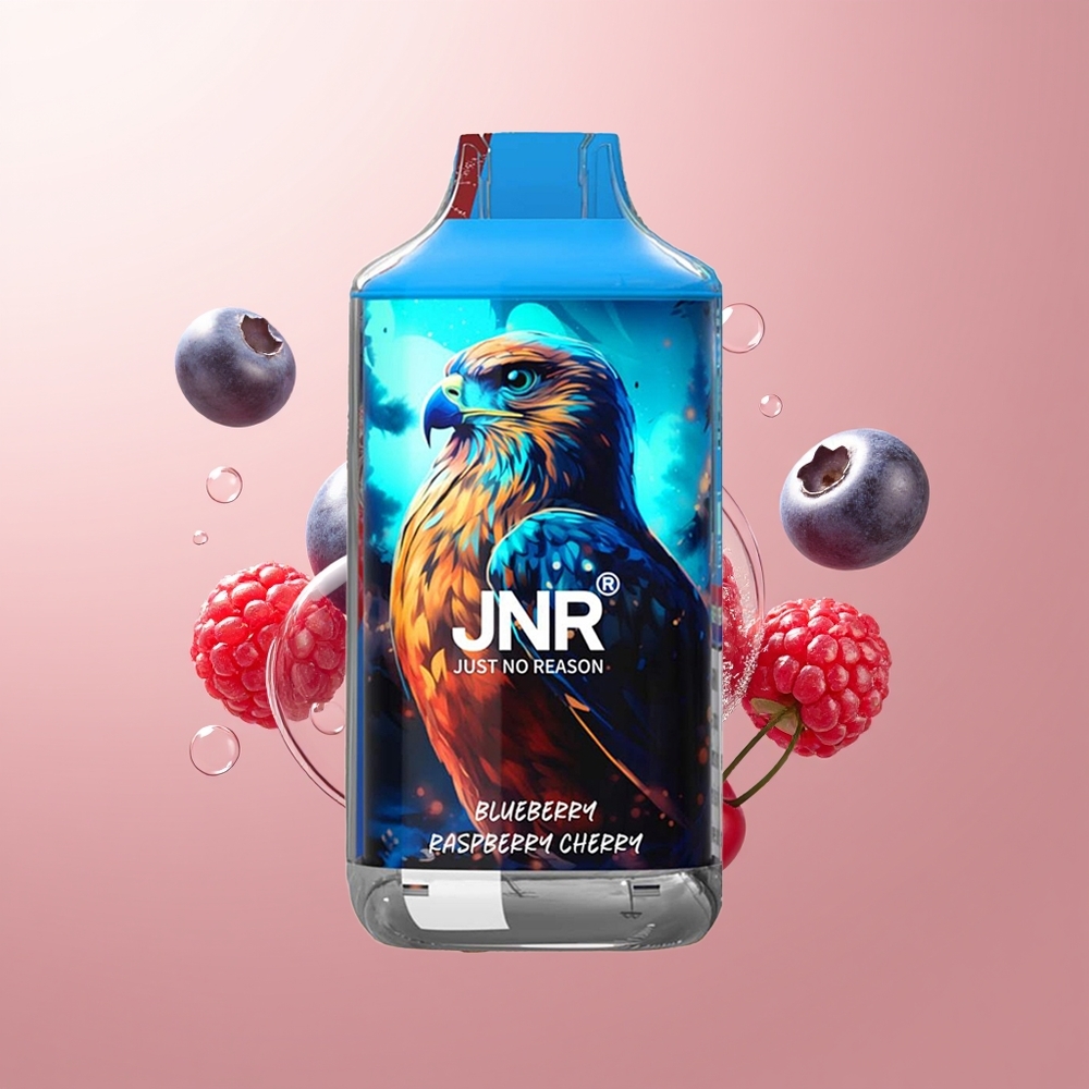Blueberry Raspberry Cherry JNR Falcon 16000 Puffs Dual Mesh Coil