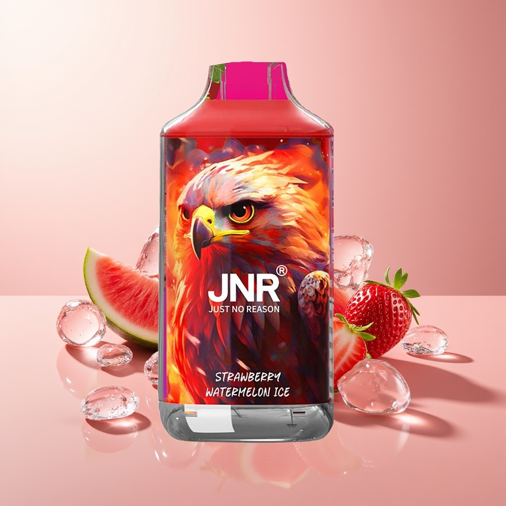Strawberry Watermelon Ice JNR Falcon 16000 Puffs Dual Mesh Coil