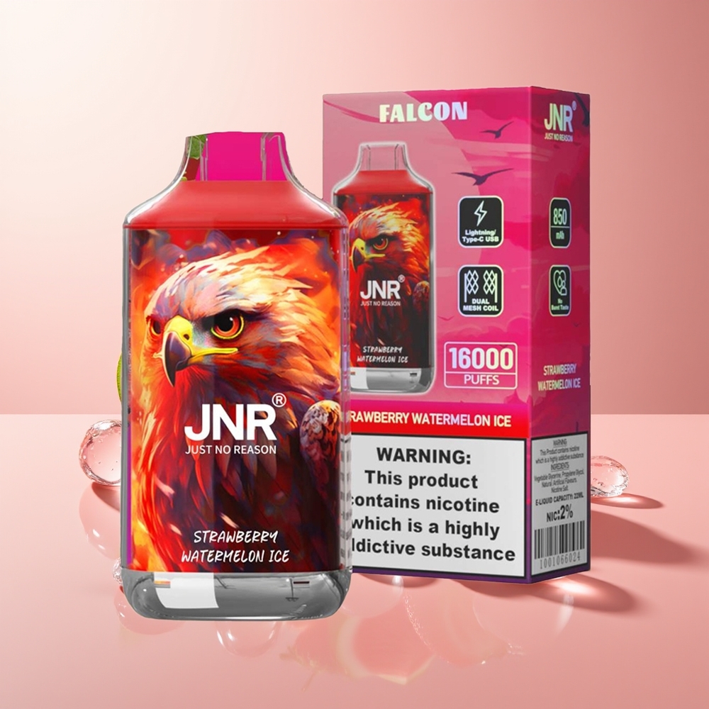 Strawberry Watermelon Ice JNR Falcon 16000 Puffs Dual Mesh Coil