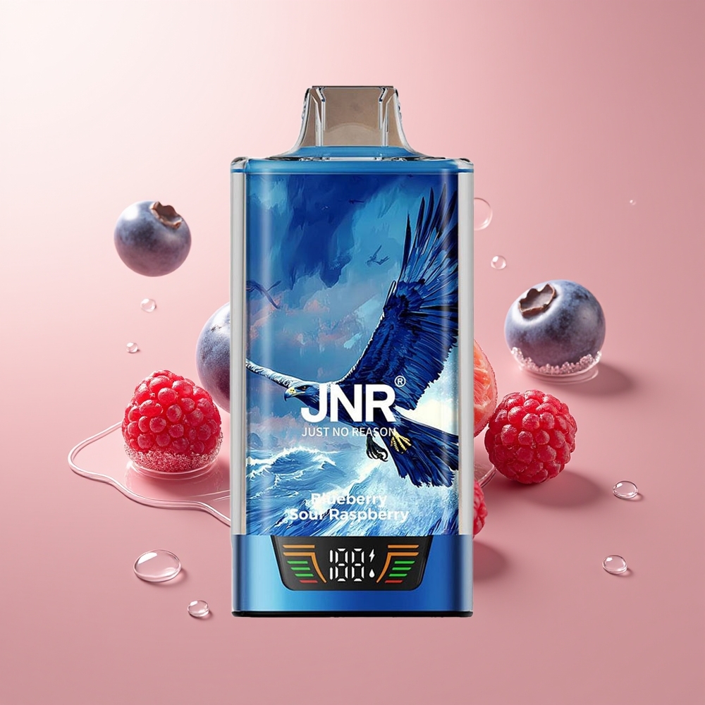 Blueberry Sour Raspberry JNR Falcon Pro 28000 Puffs Dual Mesh Coil