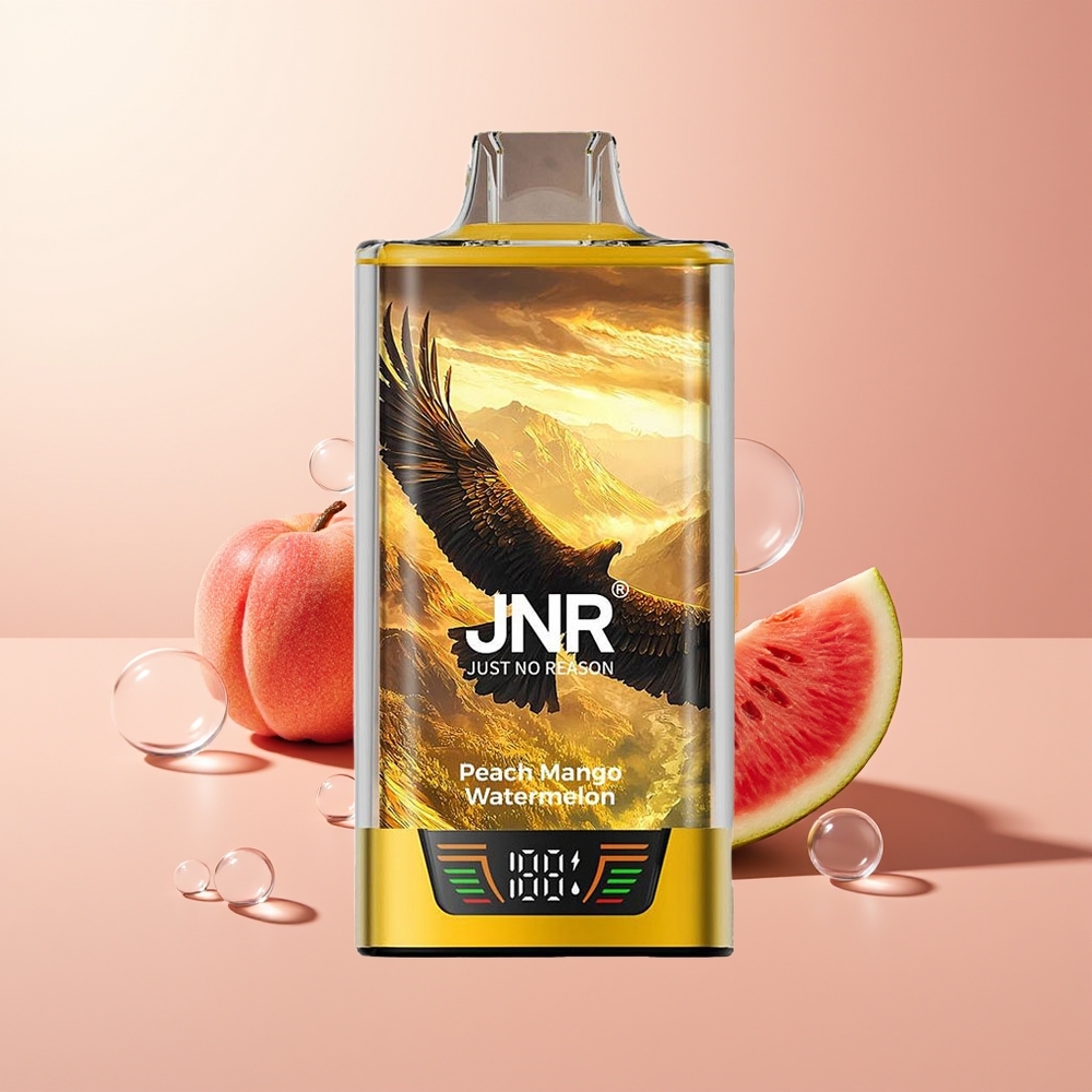 Peach Mango Watermelon JNR Falcon Pro 28000 28000 Puffs
