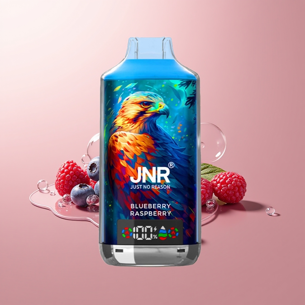 Blueberry Raspberry JNR Falcon X 18000 Puffs Dual Mesh Disposable Vape