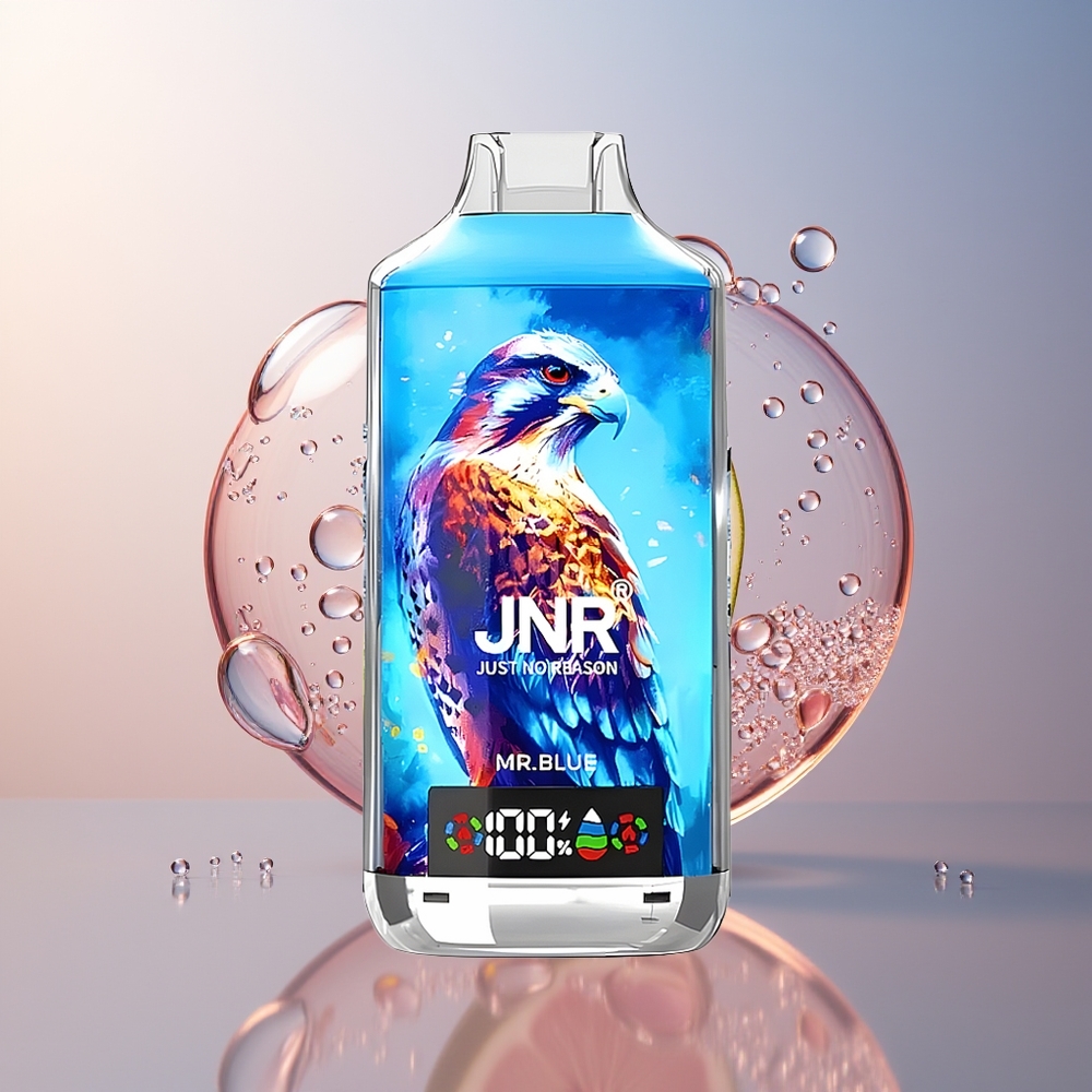Mr. Blue JNR Falcon X 18000 Puffs Disposable Vape