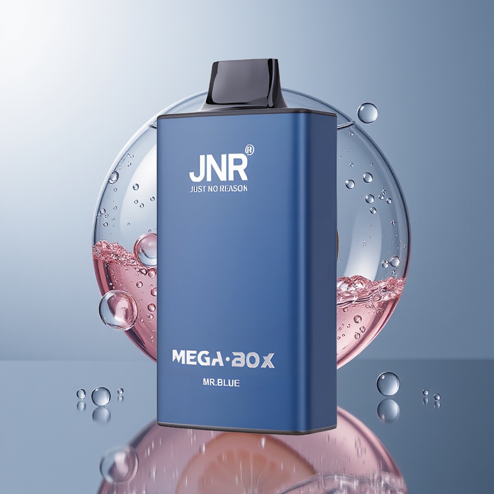 Mr Blue JNR Mega Box 25000 Puffs Disposable Vape