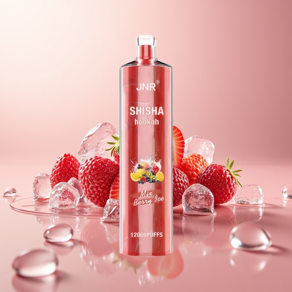 Berry Ice JNR Shisha Hookah 12000 Puffs Disposable Vape