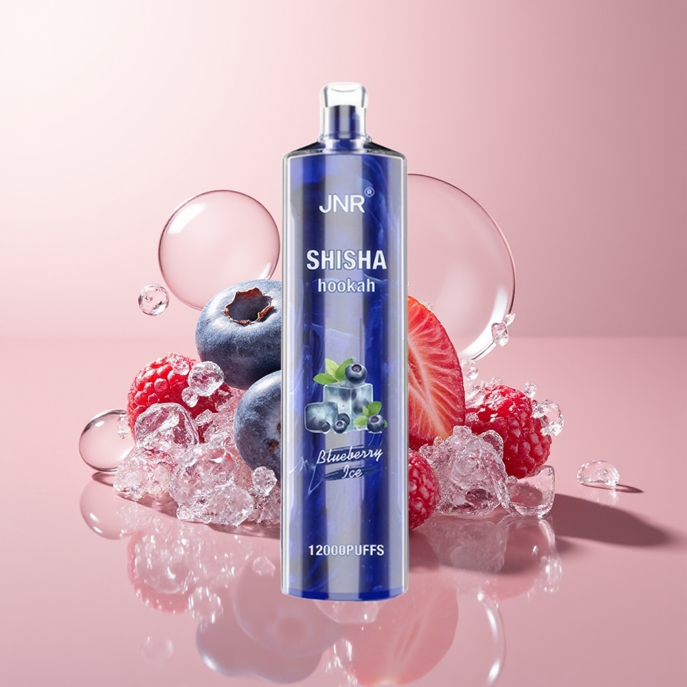 Blueberry Ice JNR Shisha Hookah 12000 Puffs Type-C Fast Charging Disposable Vape