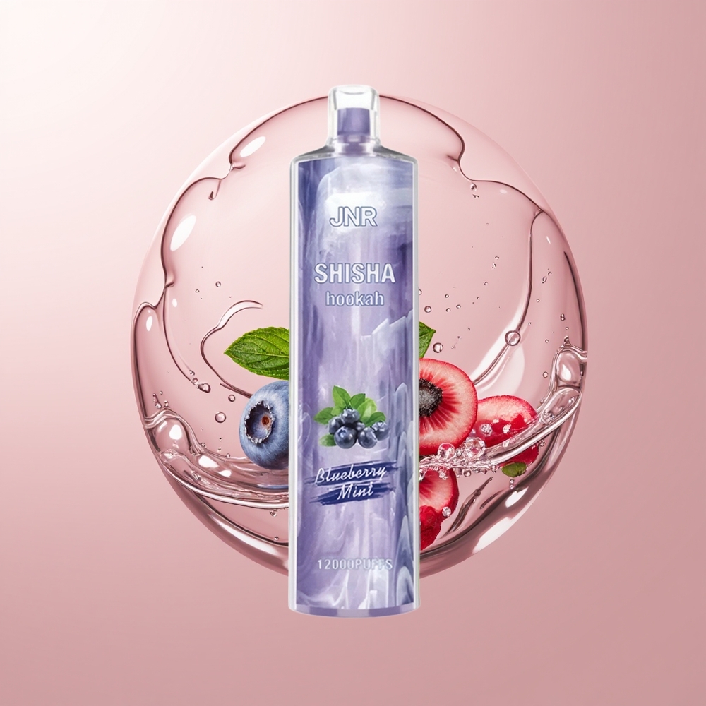 Blueberry Mint JNR Shisha Hookah 12000 Puffs Disposable Vape Type-C Fast Charging