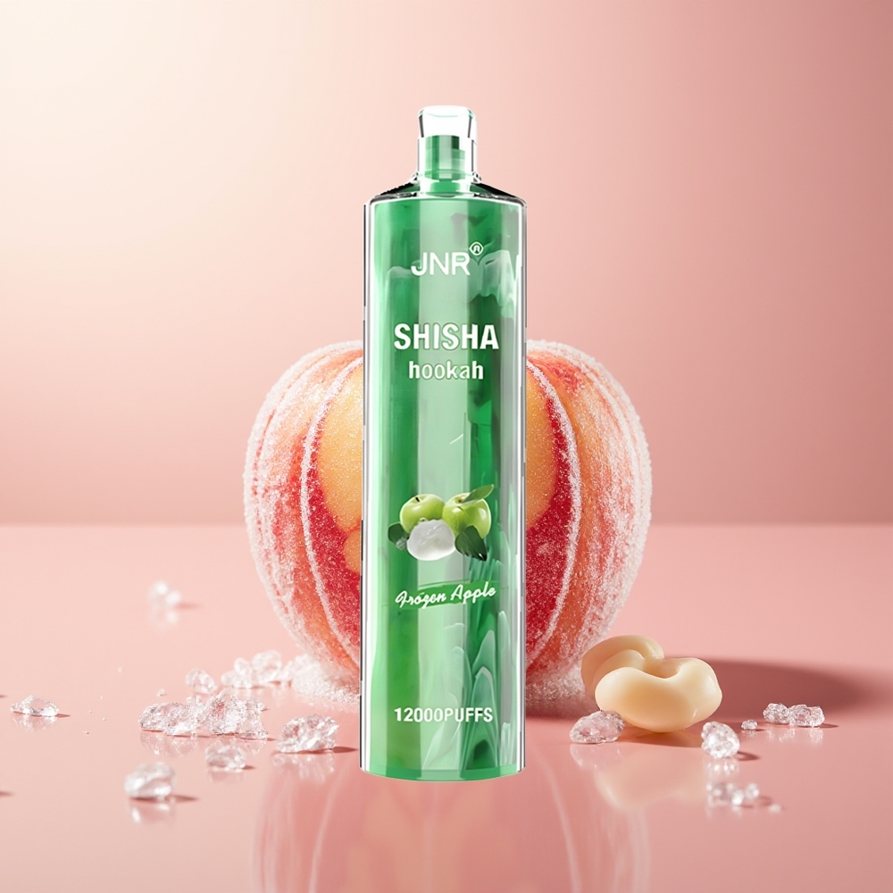 Frozen Apple JNR Shisha Hookah 12000 Puffs Disposable Vape Type-C Fast Charging