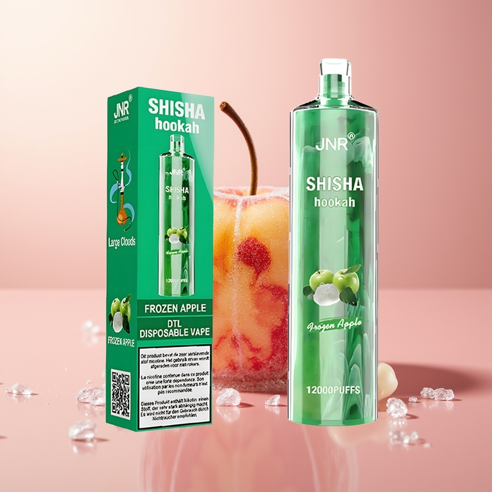 Frozen Apple JNR Shisha Hookah 12000 Puffs Disposable Vape Type-C Fast Charging