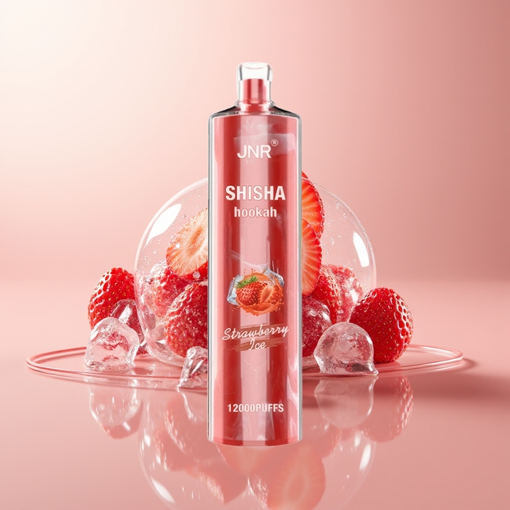 Strawberry Ice JNR Shisha Hookah 12000 Puffs Type-C Fast Charging Disposable Vape