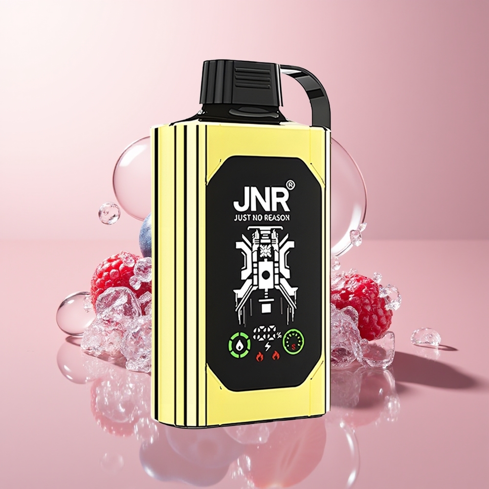 Blueberry Ice JNR Shisha Hookah Box 20500 Puffs Dual Mesh Coil Disposable Vape