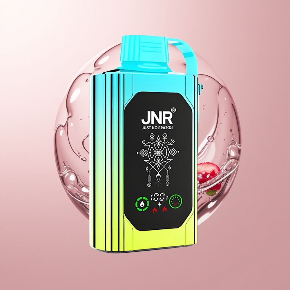 Blueberry Mint JNR Shisha Hookah Box 20500 Puffs Dual Mesh Coil