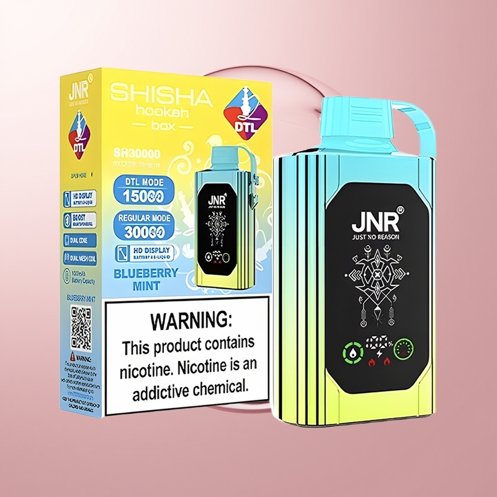 Blueberry Mint JNR Shisha Hookah Box 20500 Puffs Dual Mesh Coil