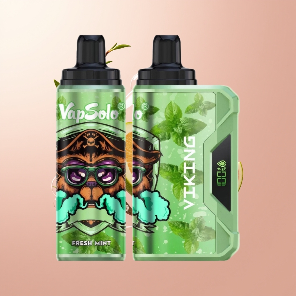 Fresh Mint VapSolo VIKING 12000 Puffs Disposable Vape Type-C