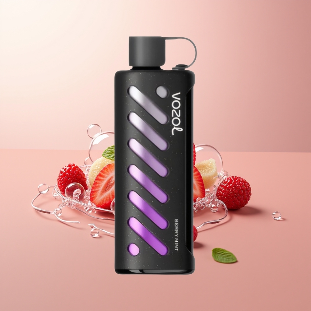 Berry MintVOZOL Gear Shisha 25000 Puffs Dual Mesh