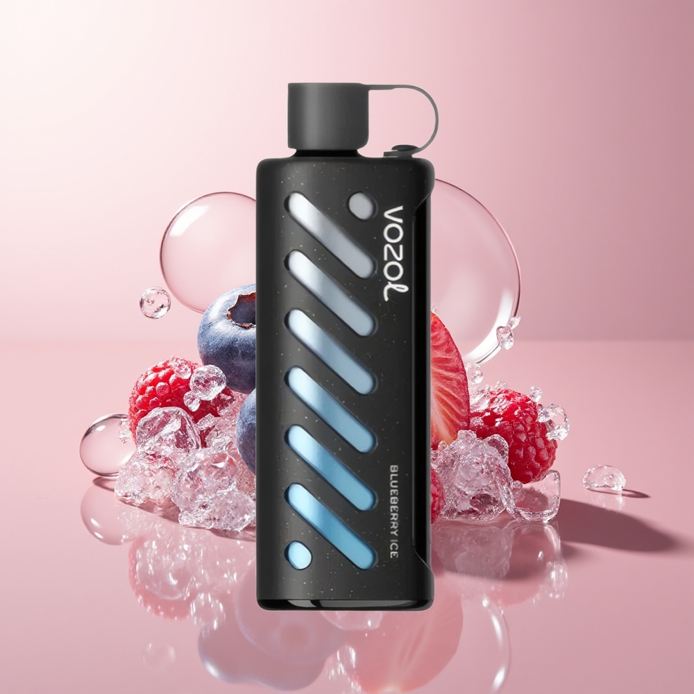 Blueberry IceVOZOL Gear Shisha 25000 Puffs Dual Mesh