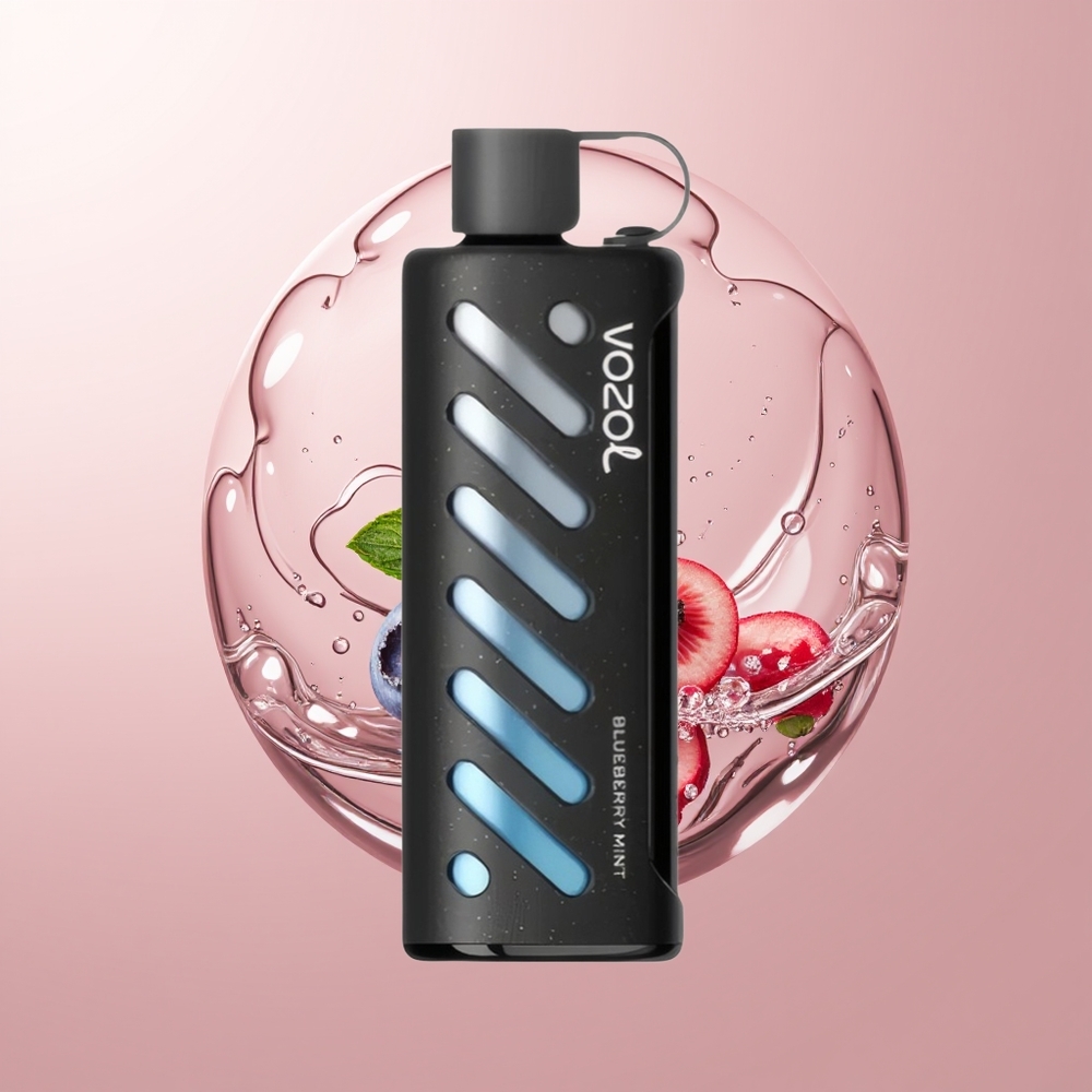 Blueberry MintVOZOL Gear Shisha 25000 Puffs Dual Mesh