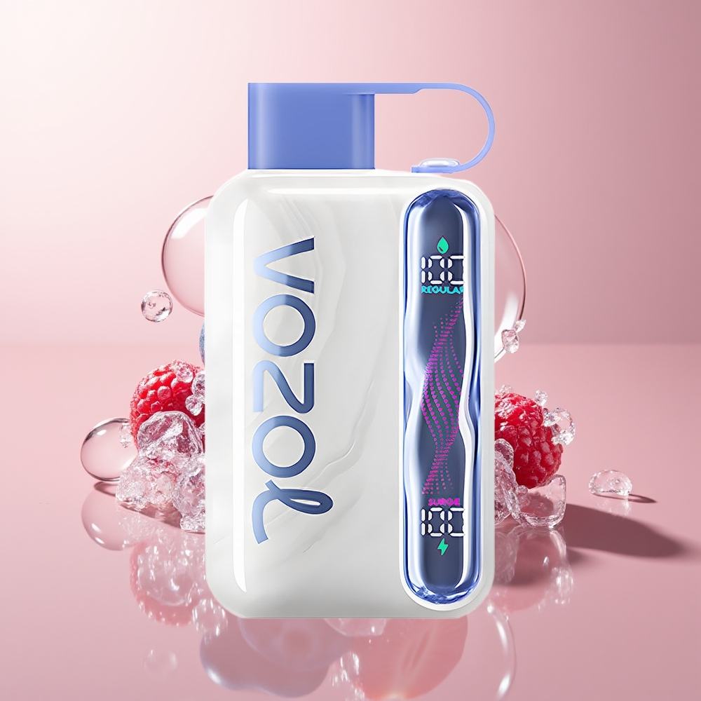 Blueberry Ice VOZOL STAR 40000 Puffs Disposable Vape