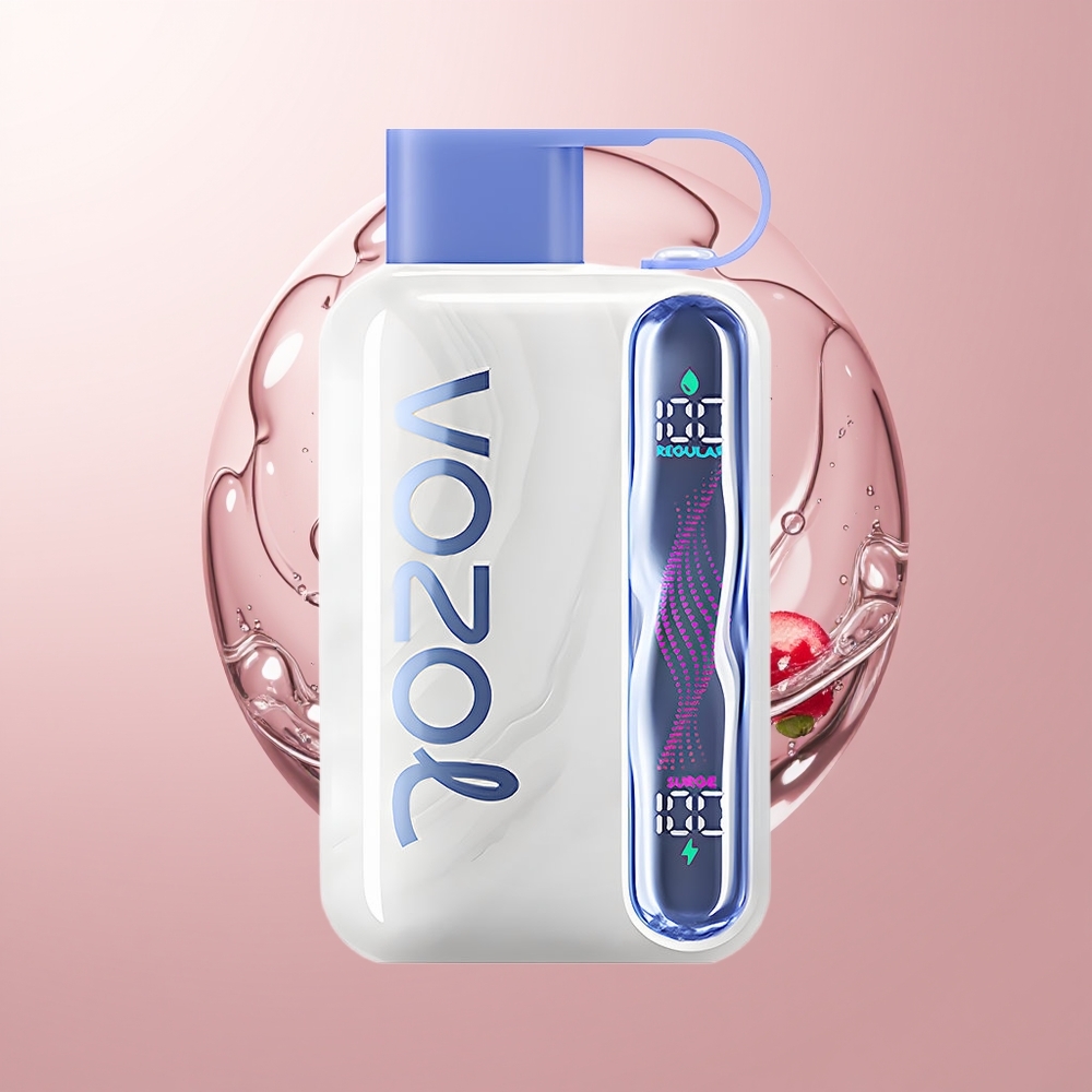 Blueberry Mint VOZOL STAR 40000 Puffs Disposable Vape Type-C
