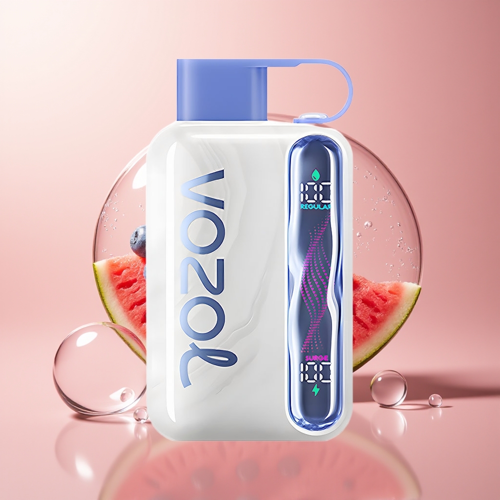 Blueberry Watermelon VOZOL STAR 40000 Puffs Type-C Disposable Vape