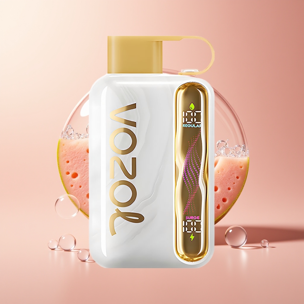 Melon Gum VOZOL STAR 40000 Puffs Type-C Disposable Vape