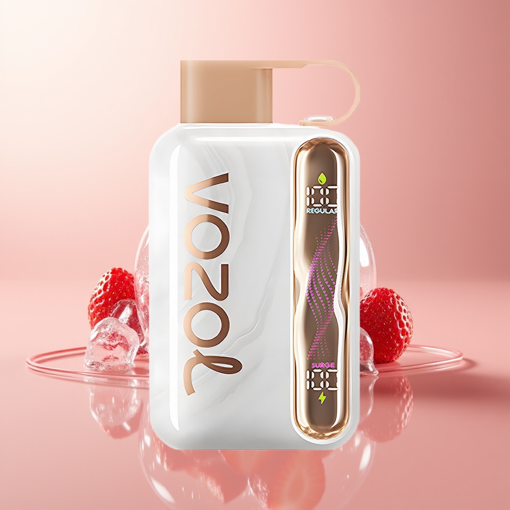 Strawberry Ice VOZOL STAR 40000 Puffs Type-C Disposable Vape