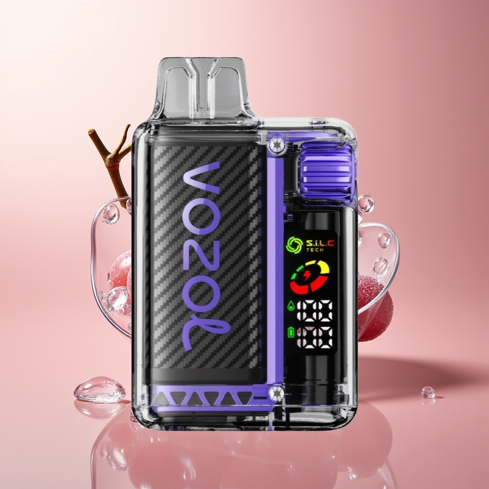 Grape Ice VOZOL Vista 20000 Puffs Rechargeable MTL Vape