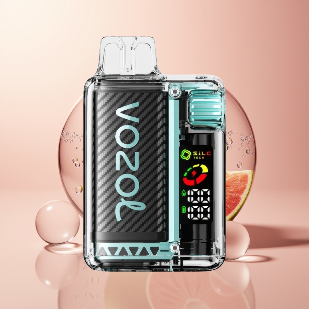 Miami Mint VOZOL Vista 20000 Puffs Rechargeable Battery Disposable Vape