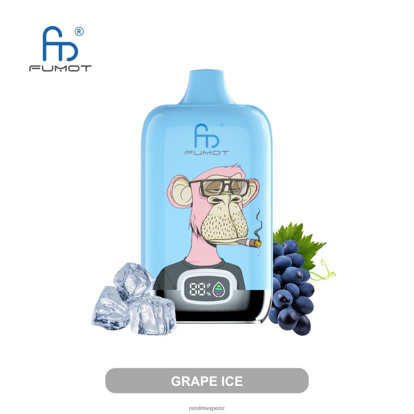 RandM Vape Flavours - Fumot Original RandM Digital Box 12000 Battery And Liquid Display Vape Device Grape Ice 60664B3